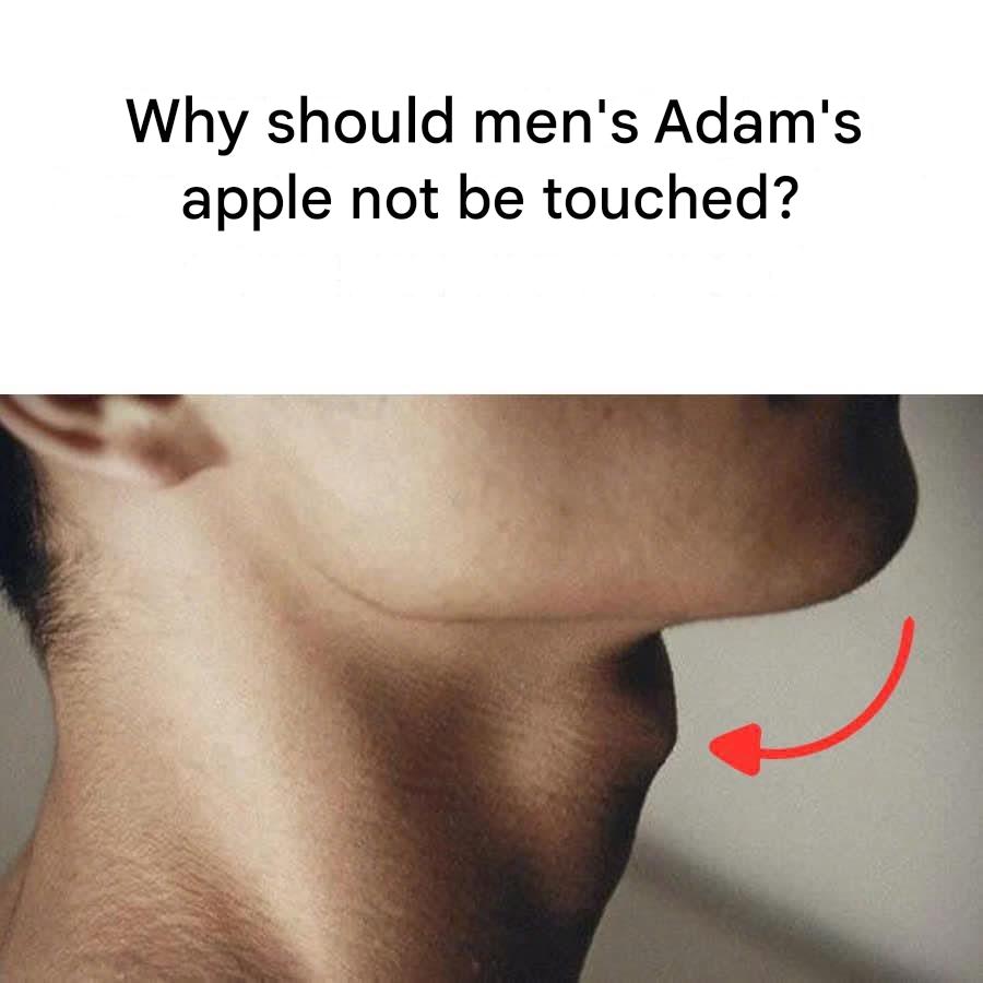 Why should men’s Adam’s apple not be touched?