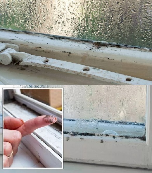 Home tricks: Magic tricks that will make condensation and damp disappear from your home.