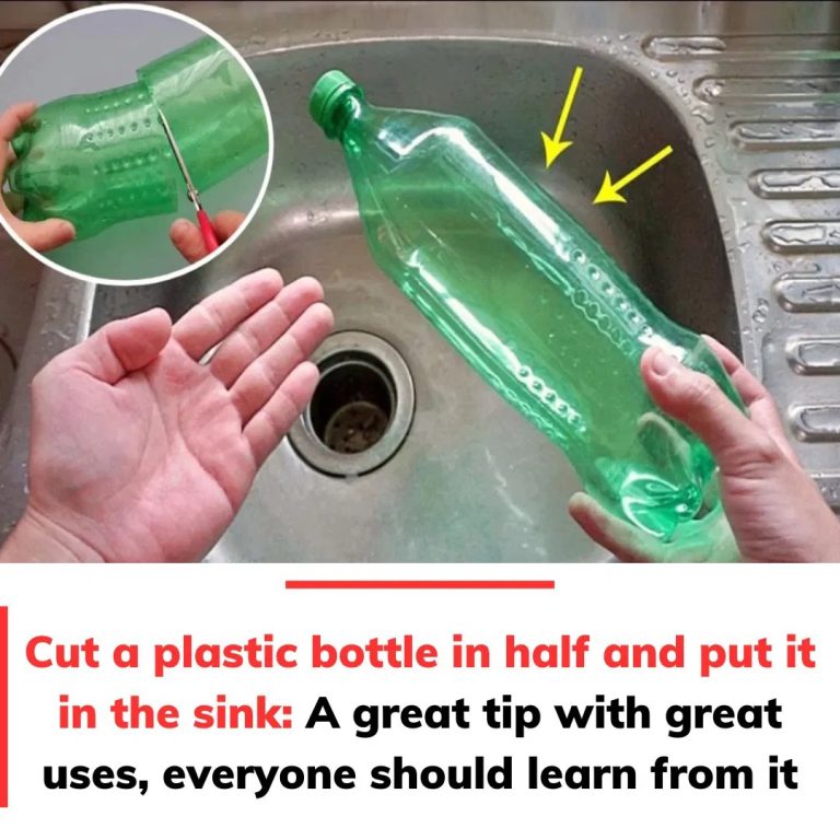 Cut the plastic bottle in half and place it in the sink