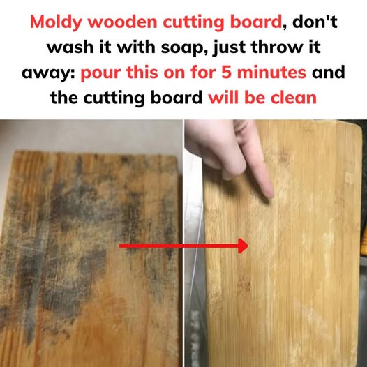 Moldy wooden cutting board