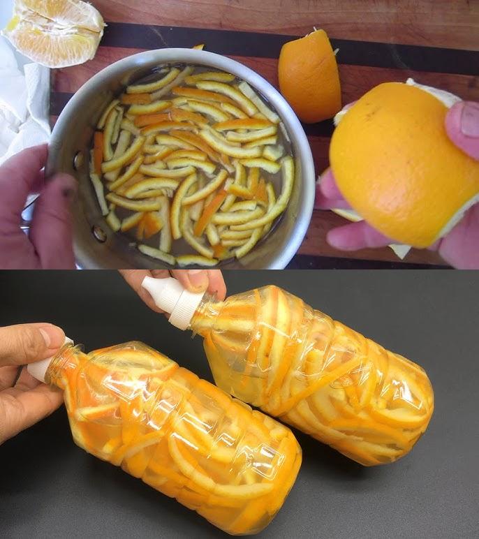 Orange Peels in a Water Bottle: A Versatile, Money-Saving Hack