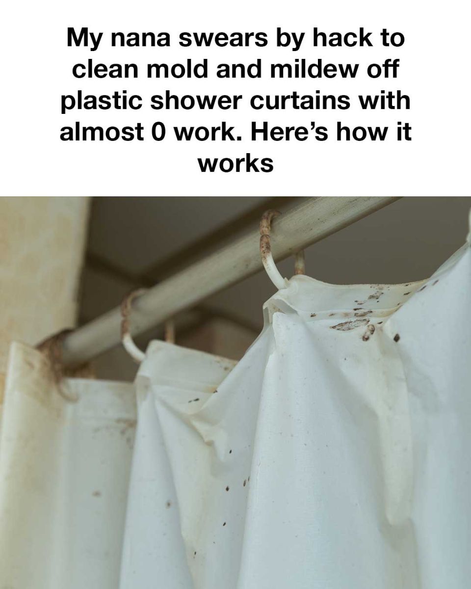 Effortless Mold and Mildew Removal from Shower Curtains