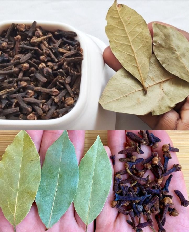 Cloves and Bay Leaves: The Surprising Benefits of This Powerful Combination