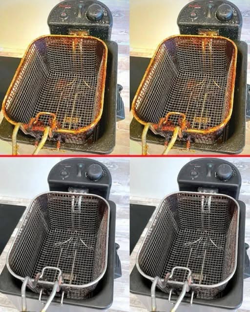 6 Methods to Degrease a Very Dirty Electric Deep Fryer