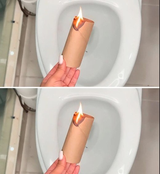 Burn the toilet paper roll in the bathroom to solve one of the most common problems