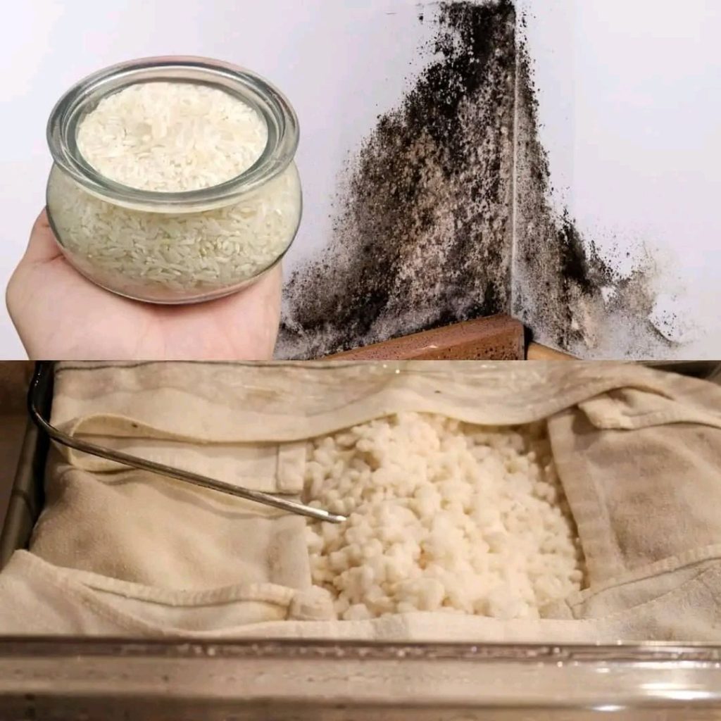 Combat Moisture and Mold Naturally with Rice: The Strongest Solution!