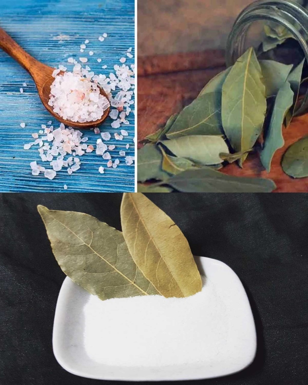 Salt and bay leaf are worth their weight in gold at home: here are the many ingenious uses