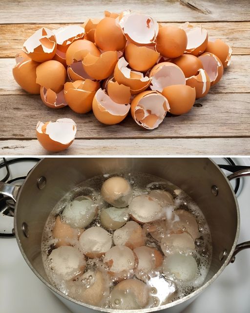 Boiling Eggshells: Saving Money and the Environment