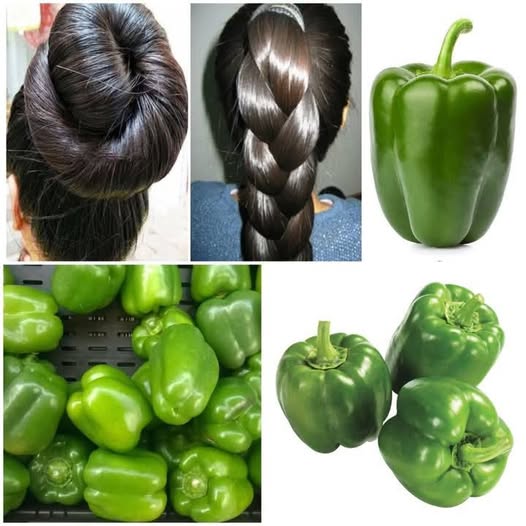 The Magic of Green Pepper! The Indian Secret to Growing Hair at Rocket Speed ​​and Treating Baldness!