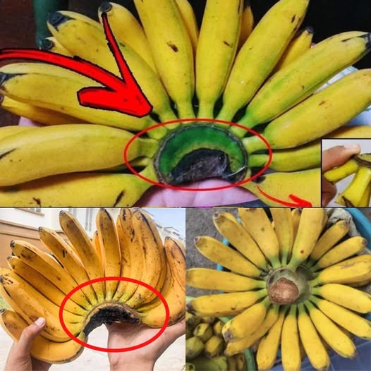 Don’t throw away this part of the banana