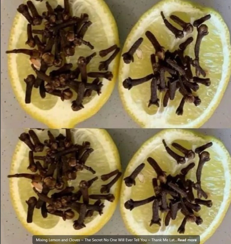 Mixing Lemon and Cloves – A Powerful Natural Trick You Need to Try!