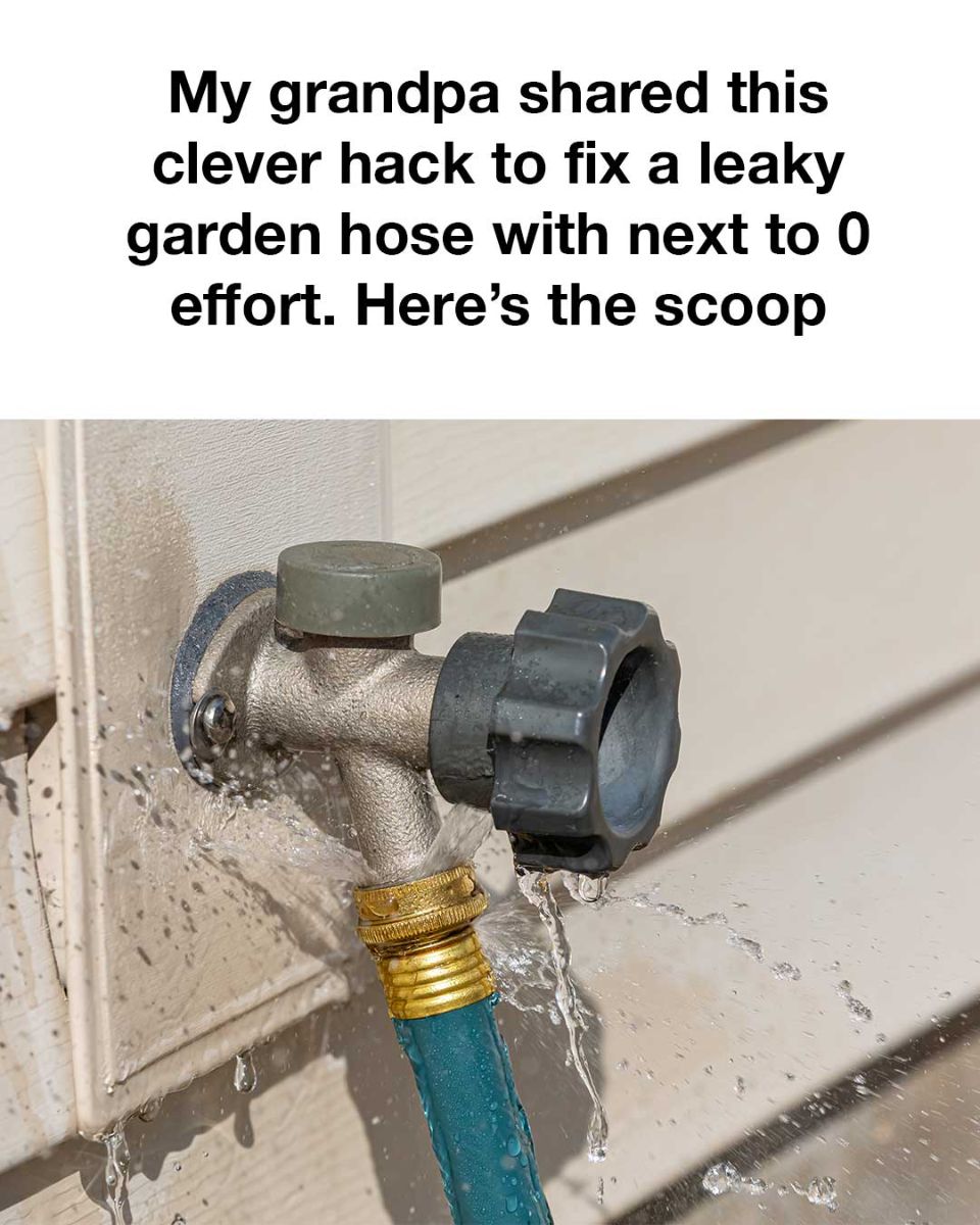 How did I not know this before?!