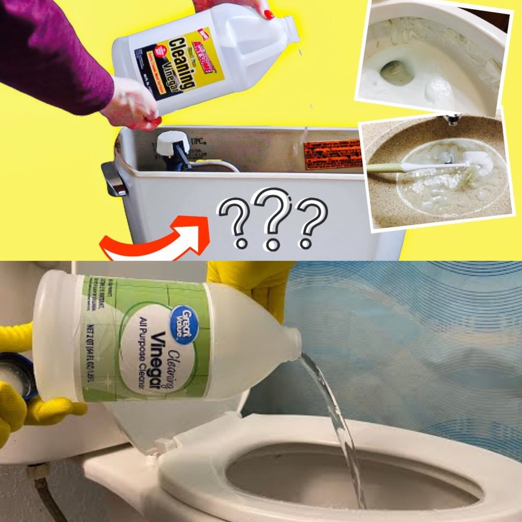 I Poured Vinegar into My Toilet to Clean It. Here’s What Happened!