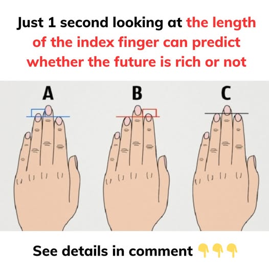 Look and guess your future