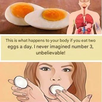 Health Benefits of Eating Two Eggs a Day: How Do They Affect Your Body?