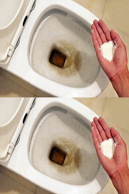 Mastering the Art of Toilet Cleaning: The 5-Star Hotel Secret