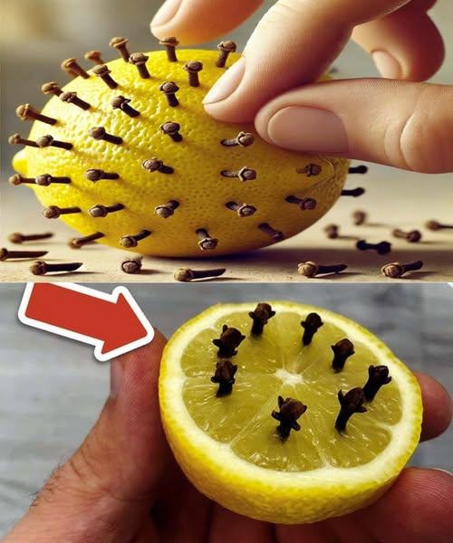 Plant cloves in a lemon and transform your interior: a tip that makes all the difference!