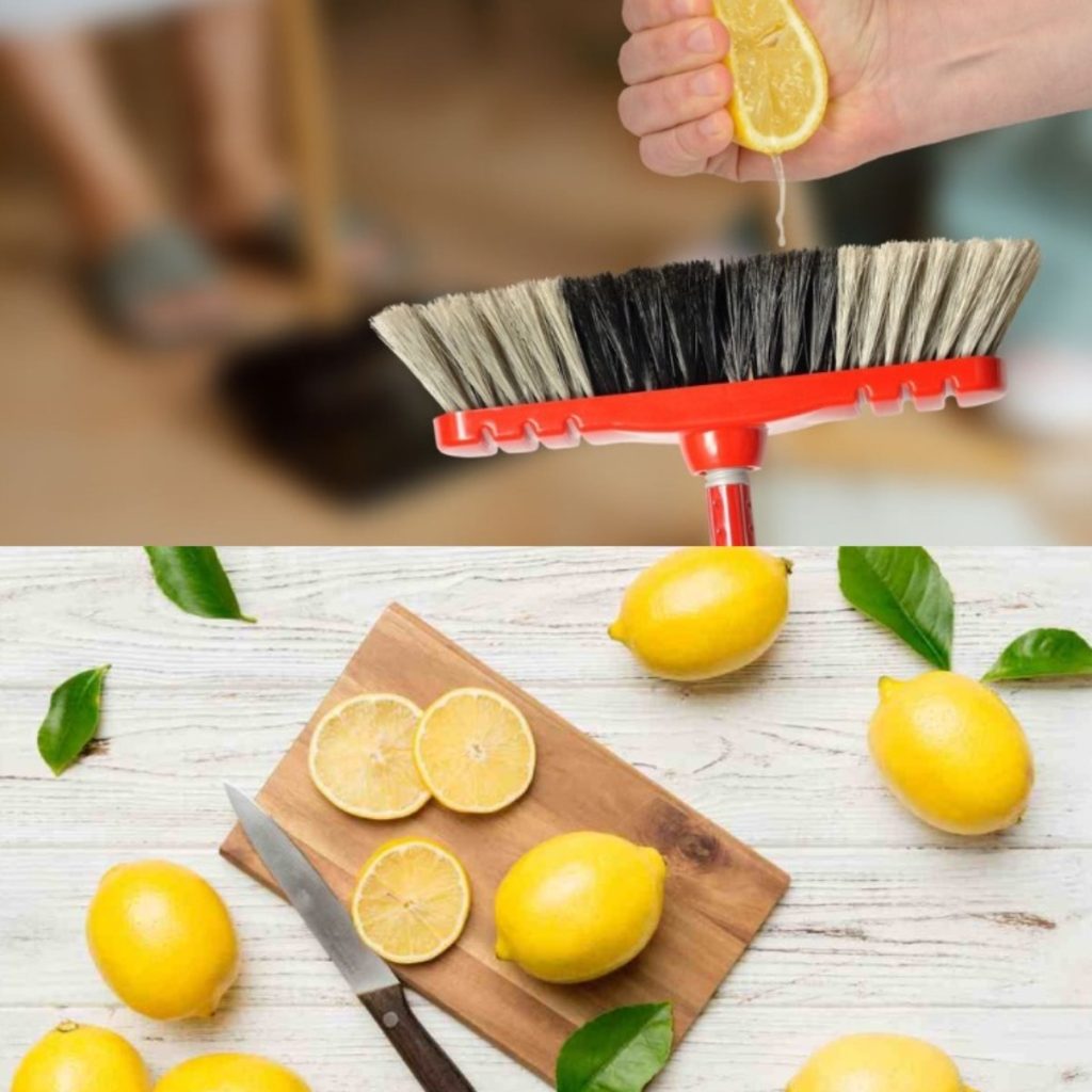 LEMON ON A BROOM, AMAZING: HERE’S WHERE YOU SHOULD START | UNIMaginable