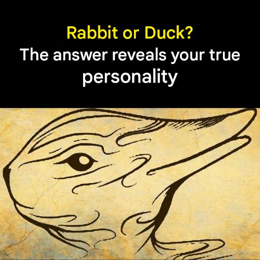 Is It a Duck or a Rabbit? The Answer Reveals Your Personality