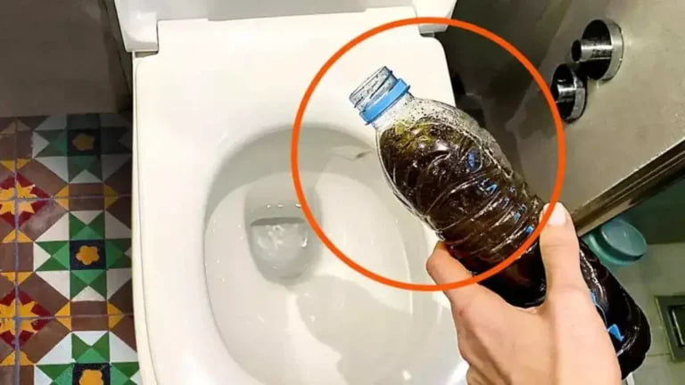 Pouring coffee grounds down the toilet: this solves one of the biggest bathroom problems!!