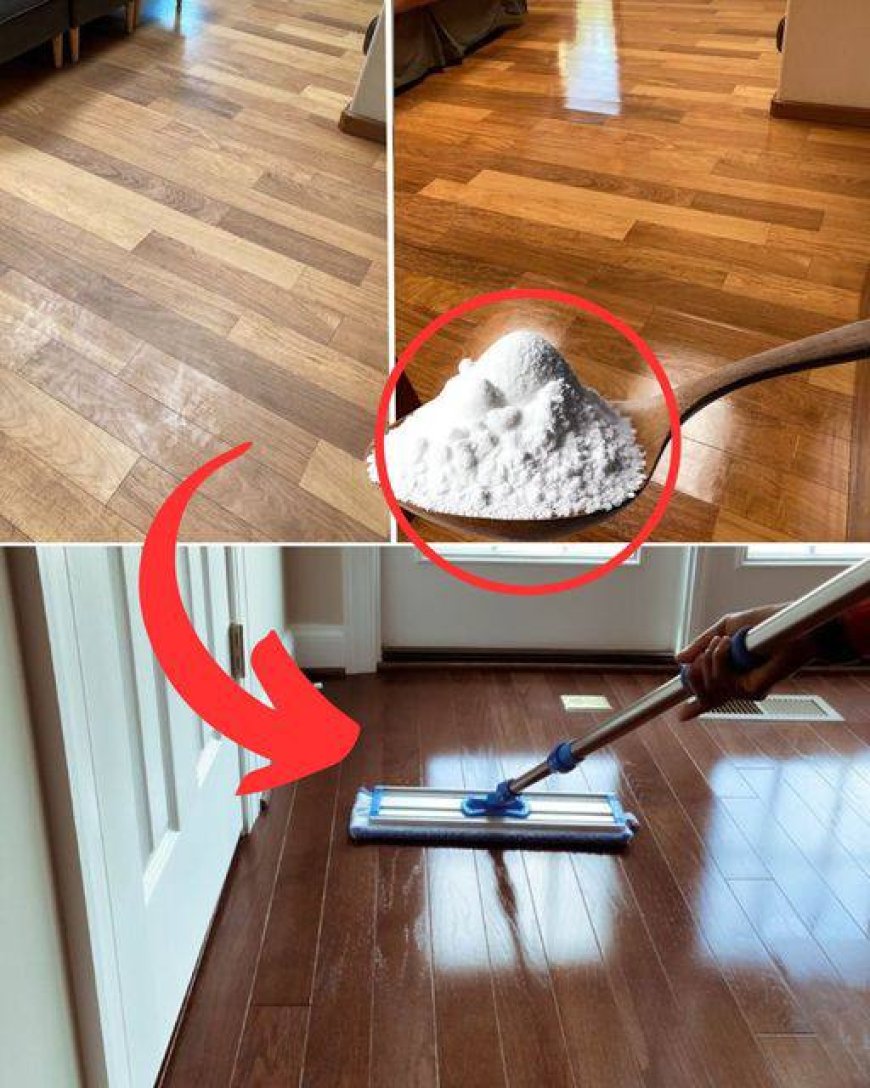 Sparkling clean floors without chemicals: The secret of the professionals