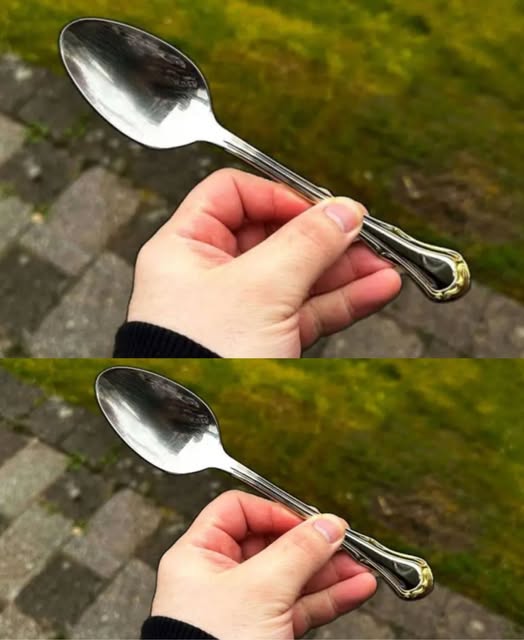 Leave a spoon in the garden before going to bed: because a lot of people do it