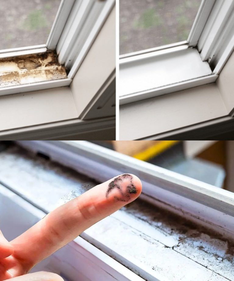 Soak a cotton ball and use it to clean all the window frames: this PROBLEM at home will no longer bother you.