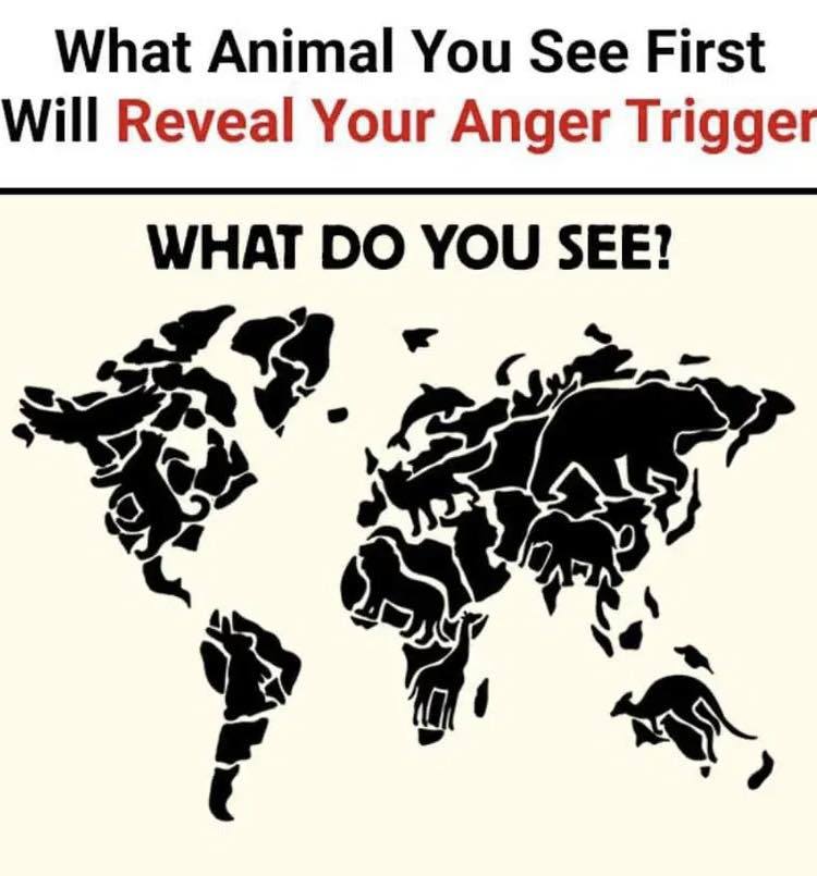 The Animal You See First Reveals Your Anger Trigger