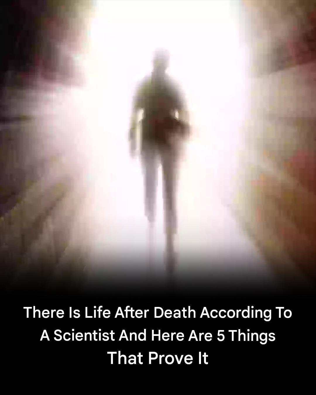 Scientist Reveals Five Clues He Says Prove There Is Life After Death