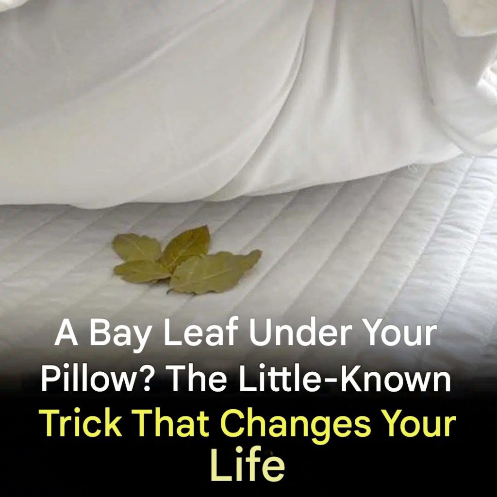 A Bay Leaf Under Your Pillow? The Little-Known Trick That Changes Your Life