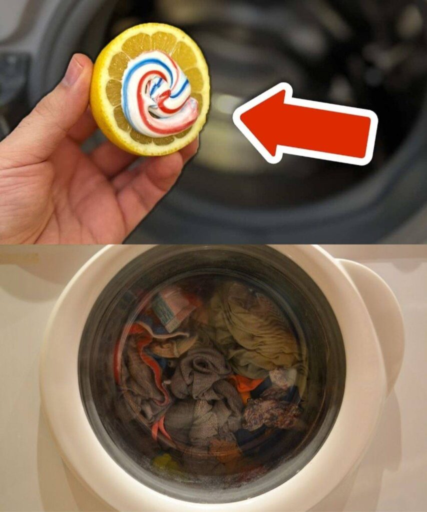 If you’ve never put it in the washing machine before, you should do so for the following reason: unexpected results.