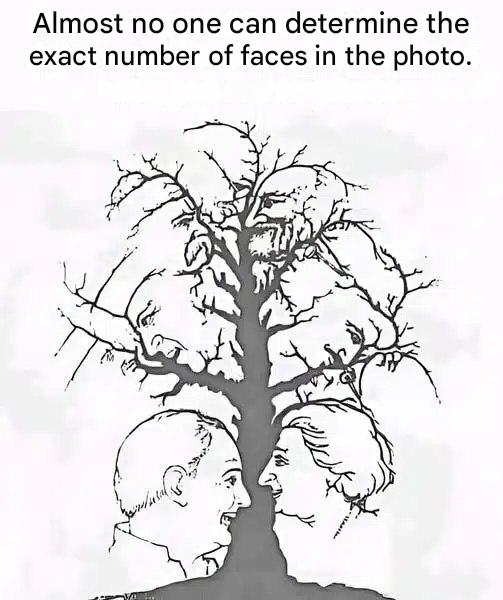 If you can spot all the faces hidden in this optical illusion in less than ten seconds, your eyesight is among the best.