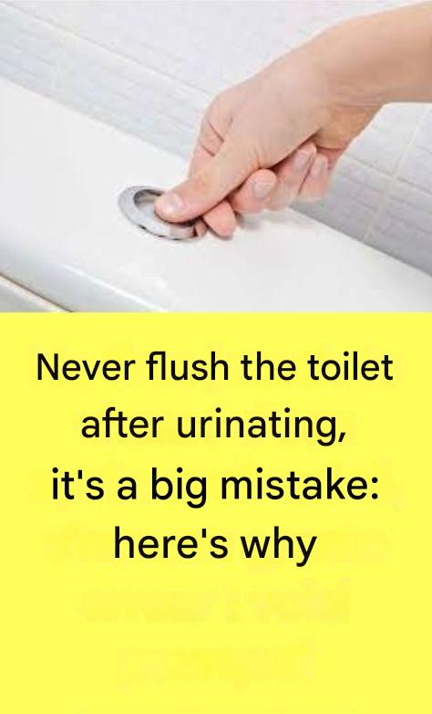 Never flush the toilet after urinating, it’s a big mistake: here’s why