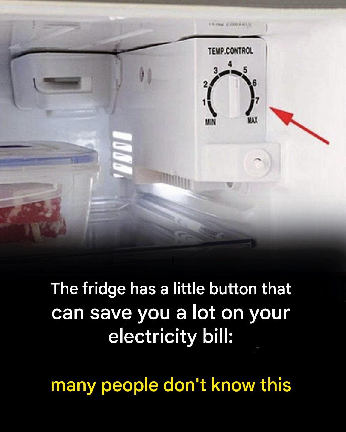 The fridge has a small button that can save you a lot on your electricity bill.