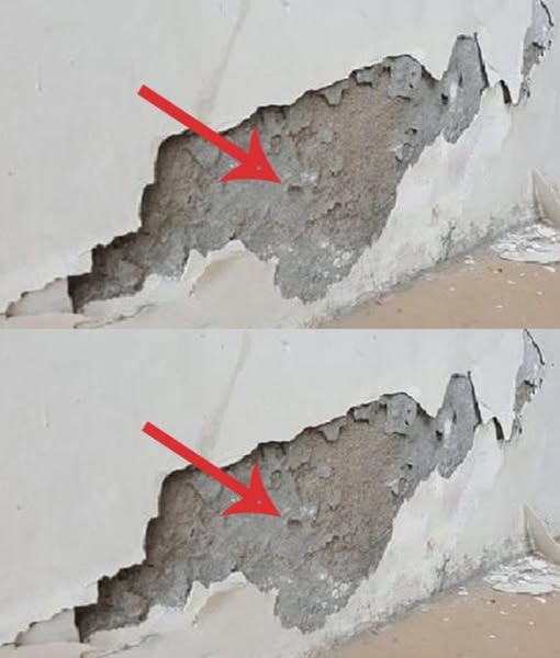 A trick to get rid of mold and peeling paint on walls: it’s easy, cheap, and any home can do it