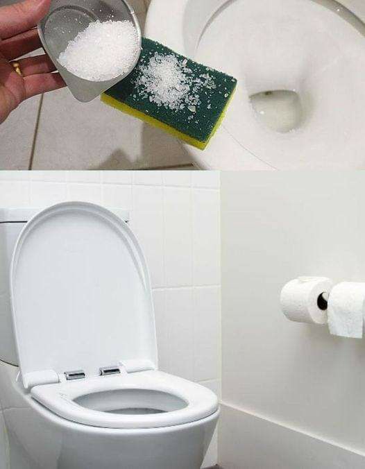 The trick to descaling toilets, making them shine and leaving a clean smell