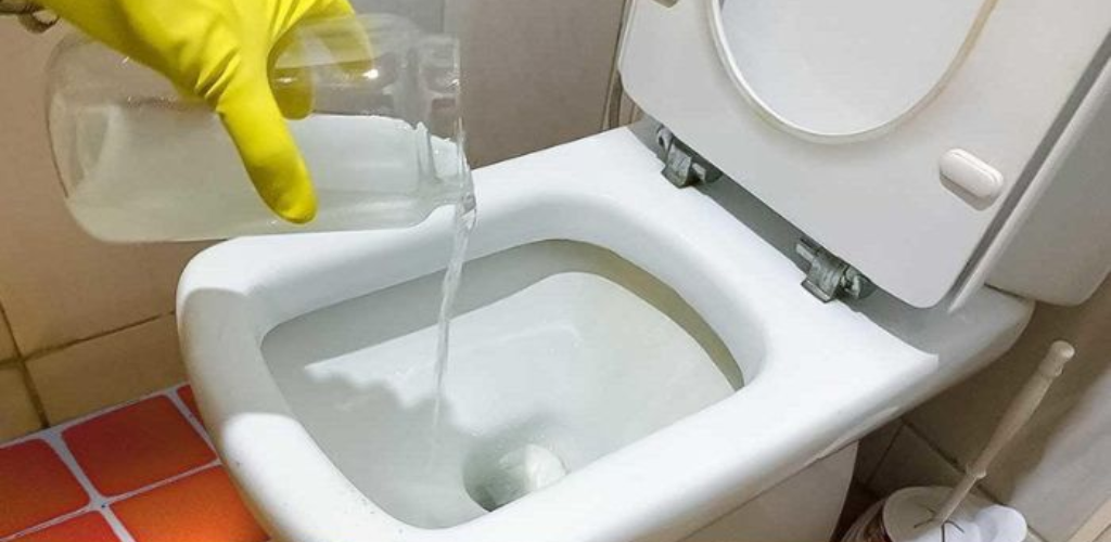 7 ways to unclog a toilet naturally