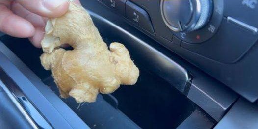 Put 1 Ginger In Your Car: One Day You Will Thank It