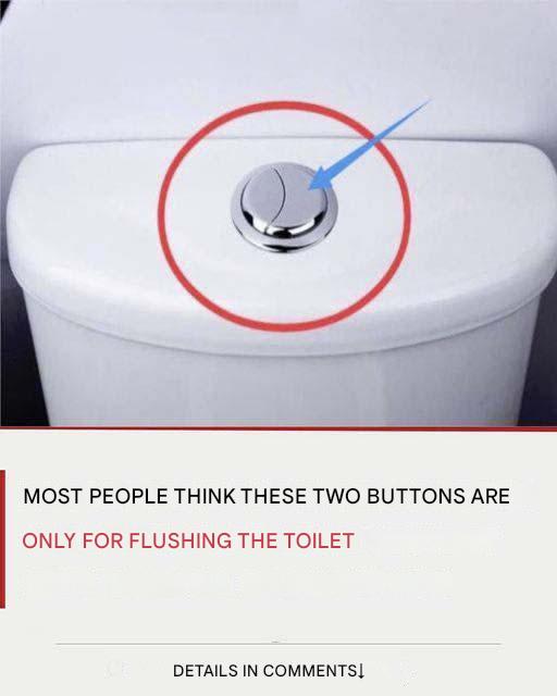 Many people think that these 2 buttons are only used to flush the toilet.