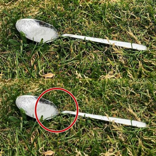 Lady Had a Bunch of Empty Old Pill Bottles – Instead of Tossing Them Out, She Came Up with These Brilliant Ideas