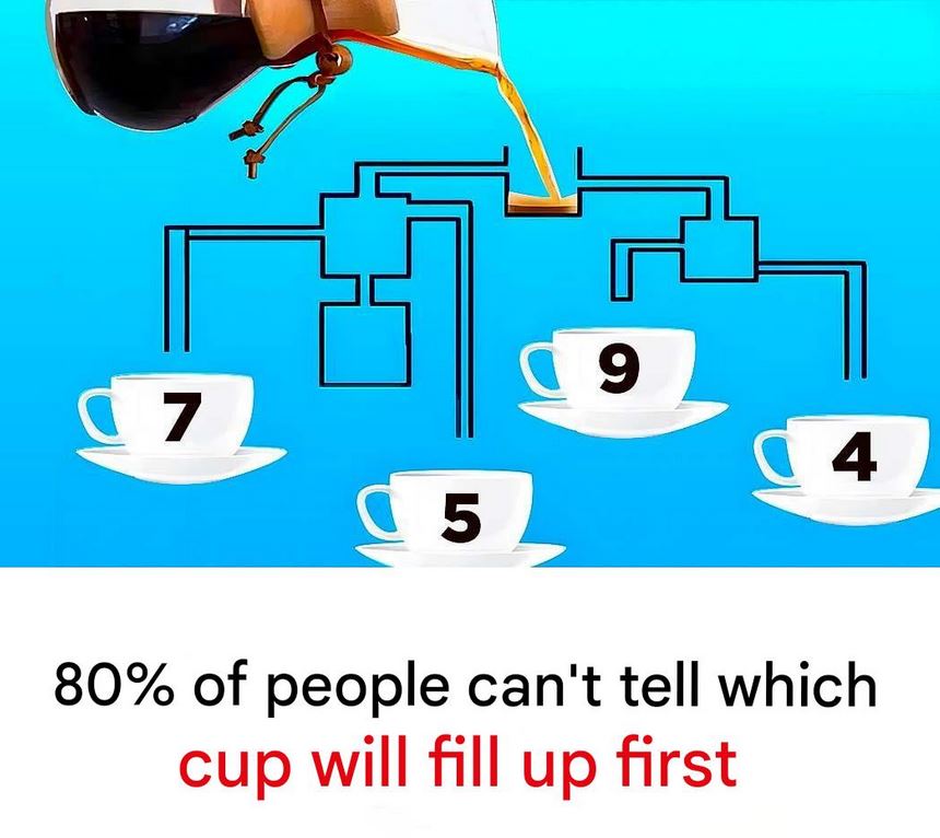 Can You Solve This Puzzle? 80% of People Get It Wrong!