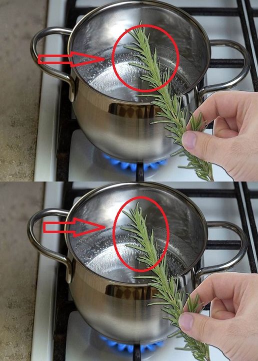 Boil rosemary for 10 minutes, what happens will solve a big problem