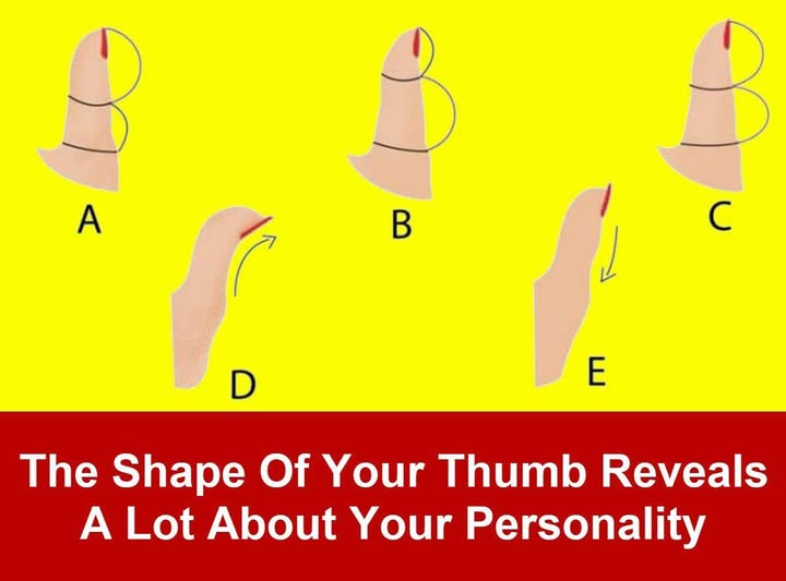 Unlock Your Personality Traits Based on the Shape of Your Thumb