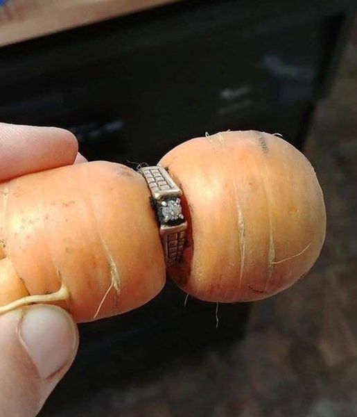 Woman Discovers Lost Engagement Ring 13 Years Later—On a Carrot