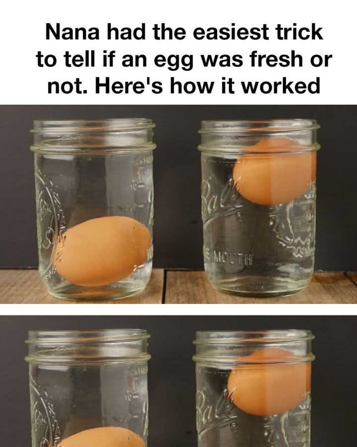 The Ultimate Egg Freshness Test: Nana’s Simple Trick
