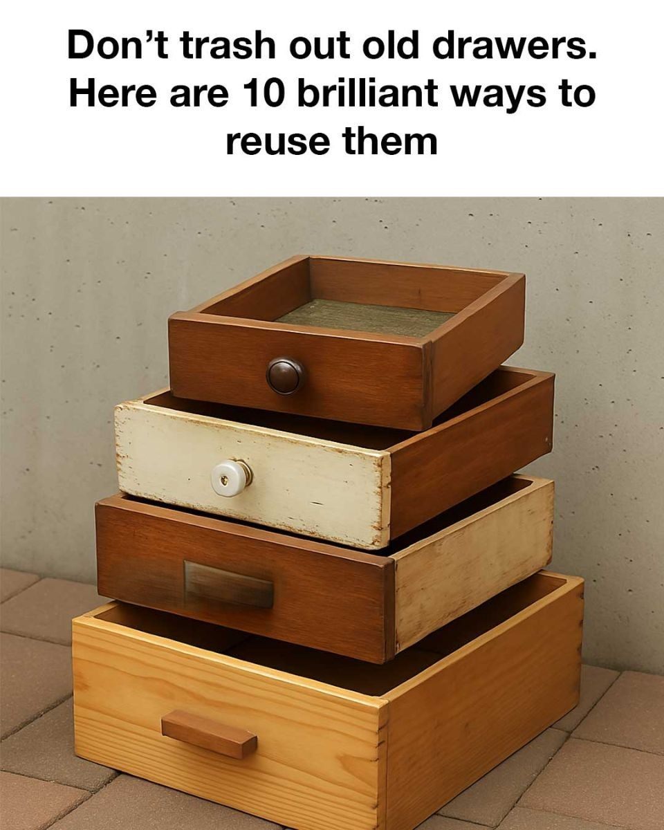 Don’t trash out old drawers. Here are 10 brilliant ways to reuse them