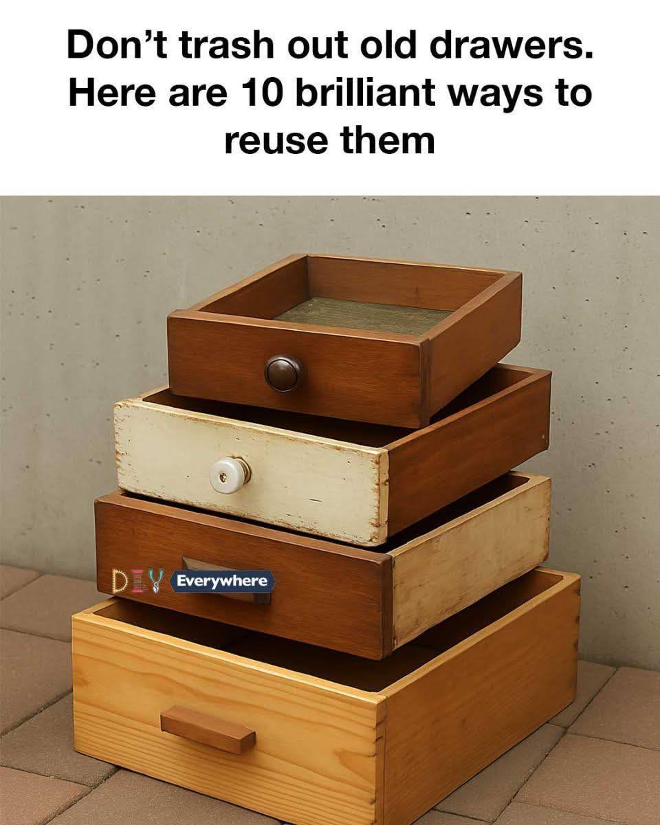 Don’t trash out old drawers. Here are 10 brilliant ways to reuse them