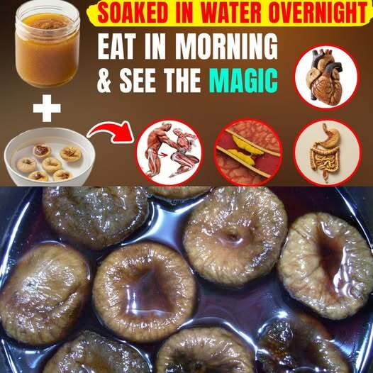 Health Benefits of Figs Soaked in Water Overnight