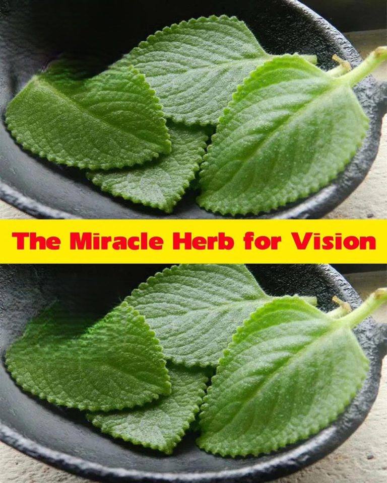 Nature’s Eye Elixir: How This Herbal Remedy Supports Vision and Fights Cataracts