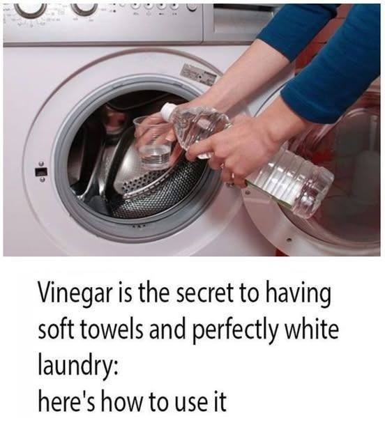 Title: « Vinegar: The Secret to Whiter Clothes and Softer Towels (If You Use It Correctly) »